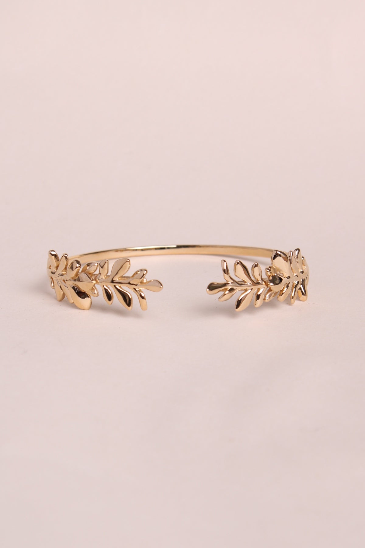 Jonc Laurea - waekura