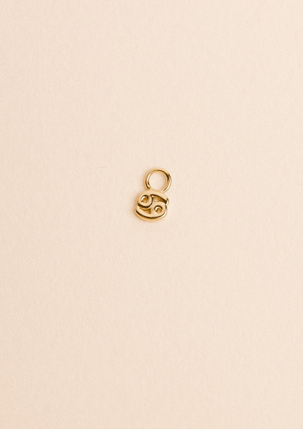 Charms Zodiaque - waekura