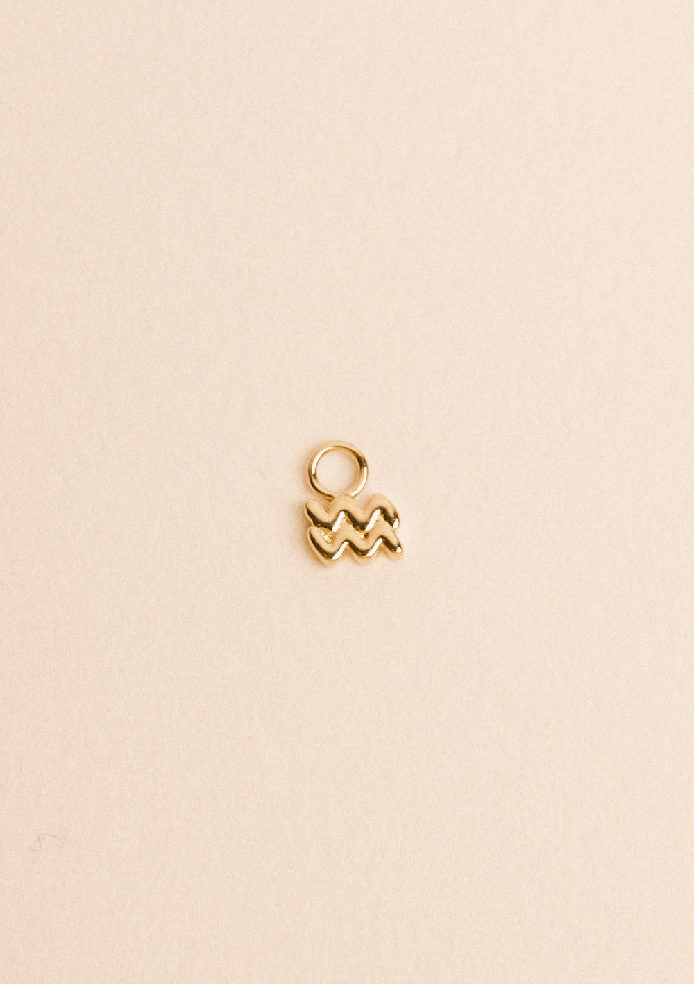 Charms Zodiaque - waekura