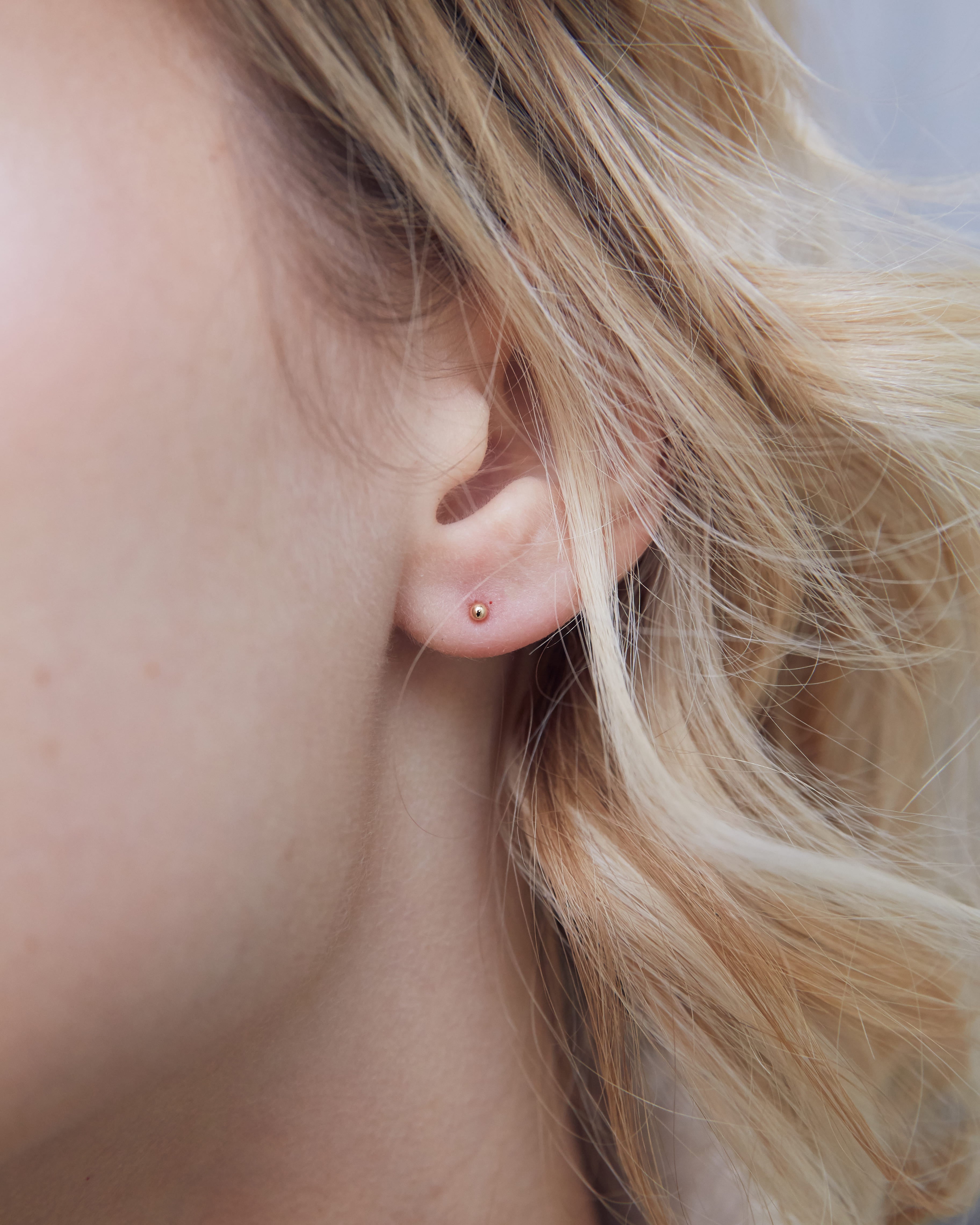 Clous August - waekura