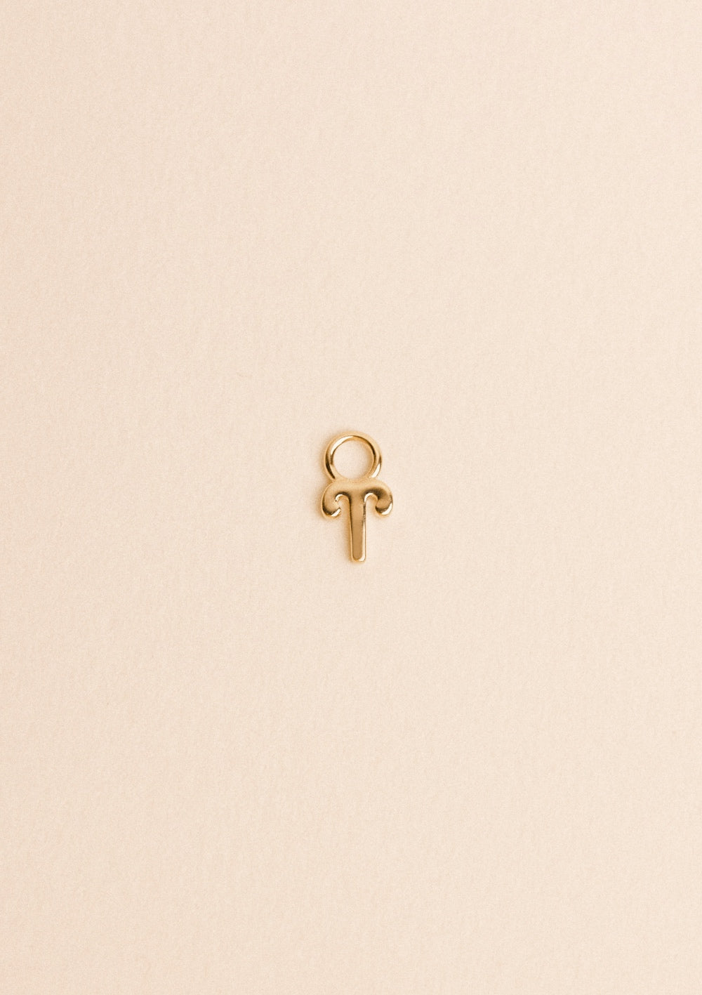 Charms Zodiaque - waekura