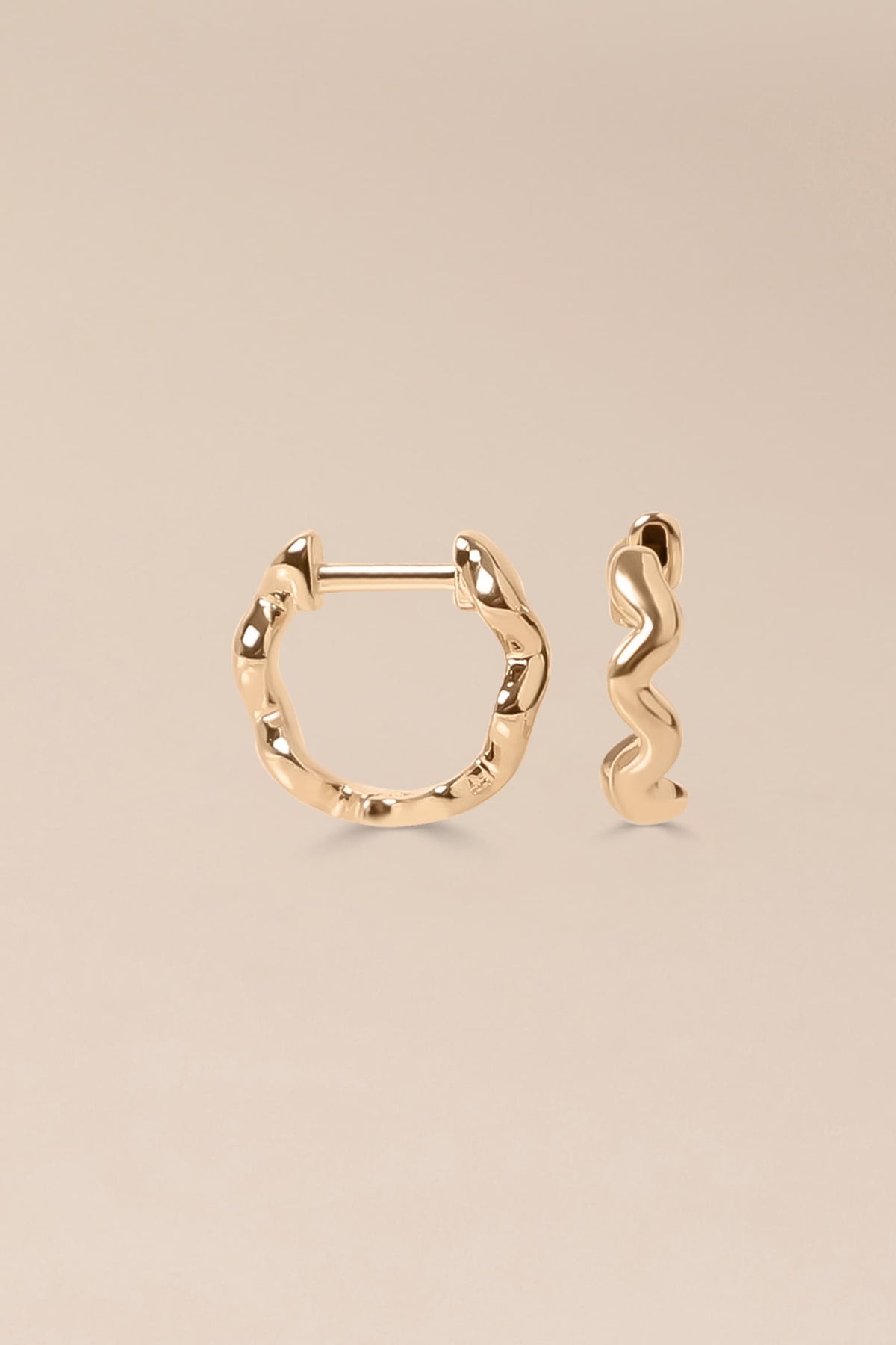 Earrings Celi