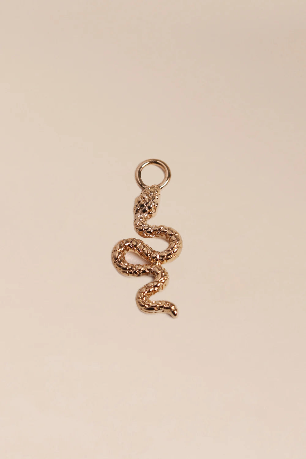 Charms Serpente - waekura