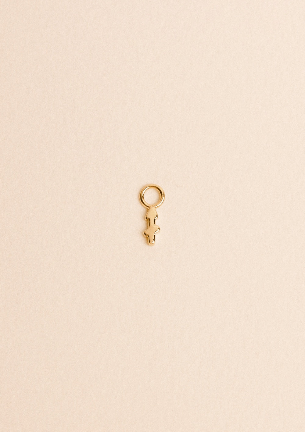 Charms Zodiaque - waekura