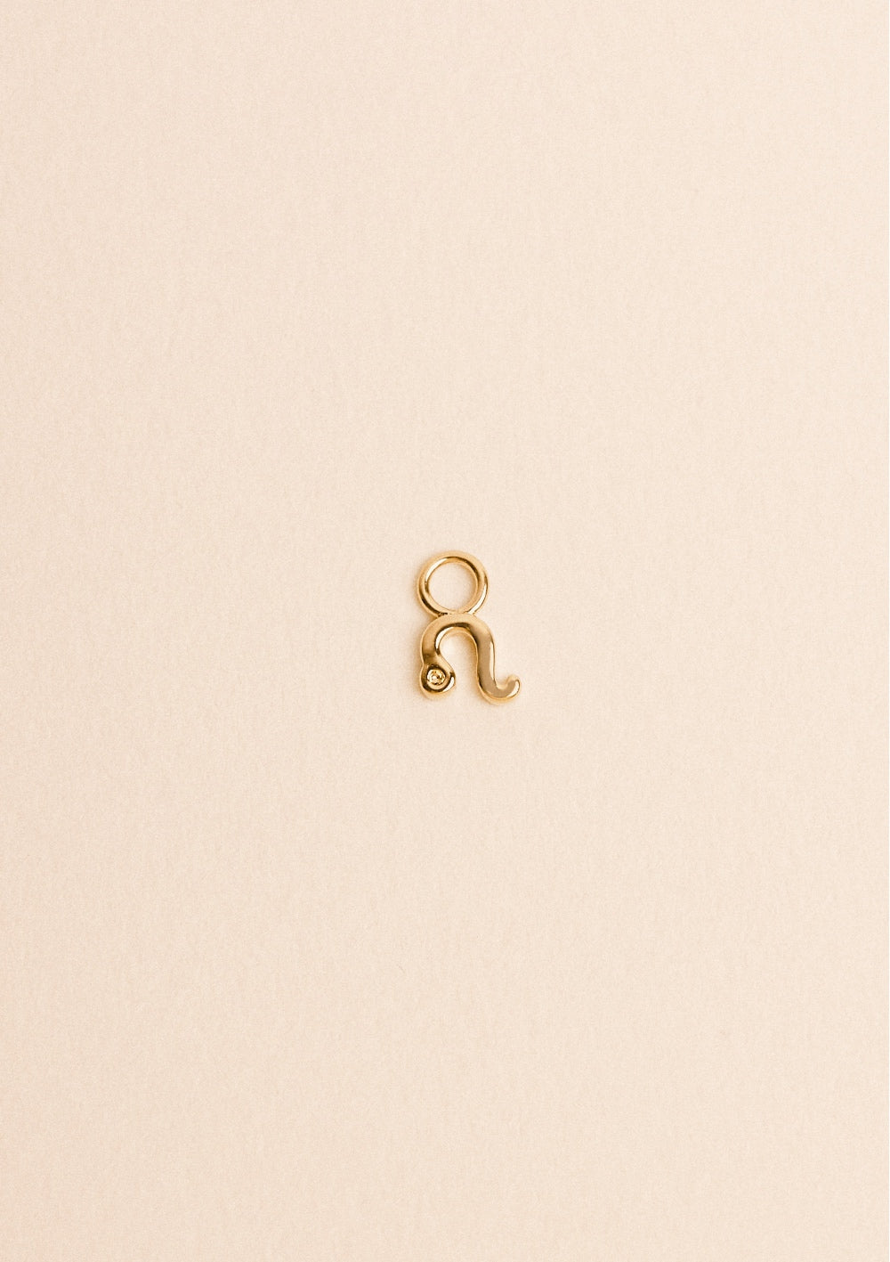 Charms Zodiaque - waekura