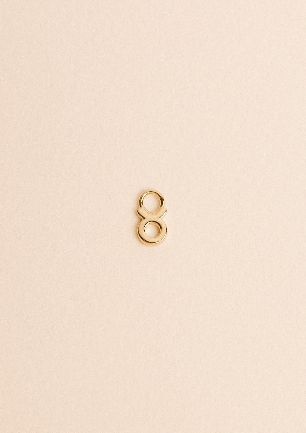 Charms Zodiaque - waekura