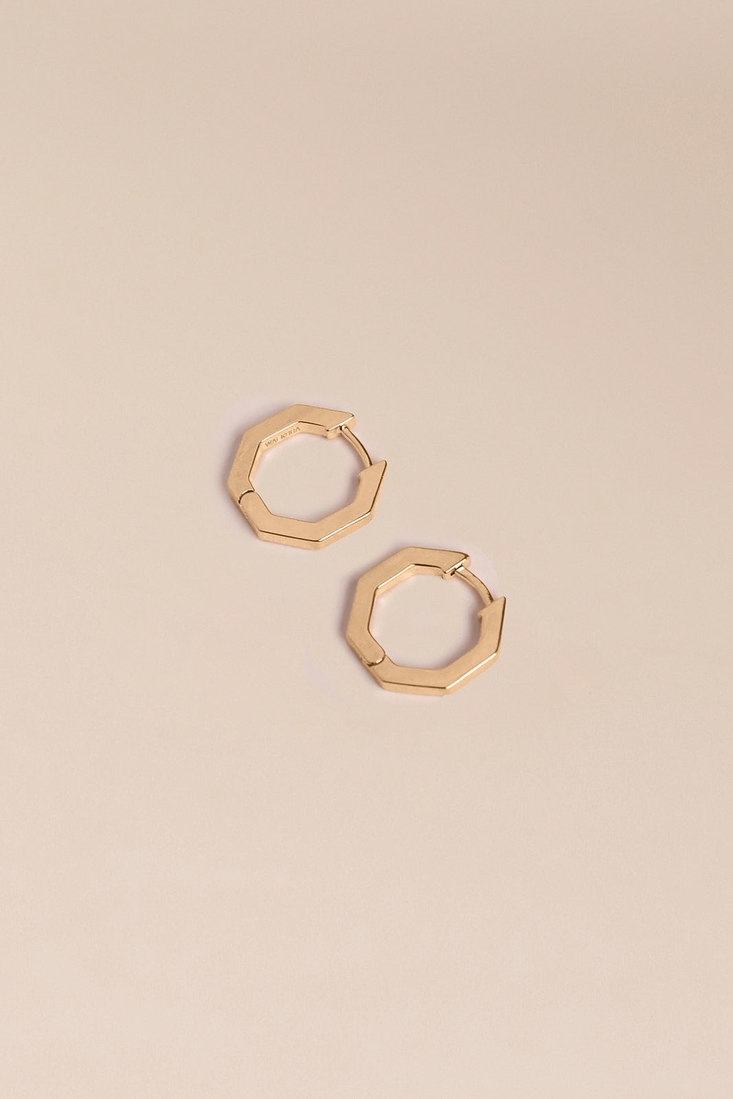 Ysia earrings